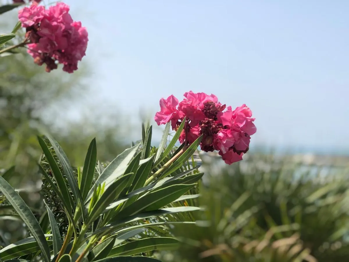 Apartment Residence Romeo Marina di Ragusa
